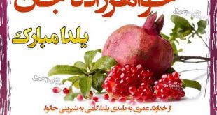 متن و پیام تبریک شب یلدا به خواهرزاده و برادرزاده +کلیپ و عکس استوری