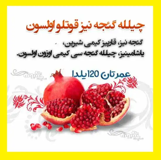 2 کلیپ کوتاه تبریک شب یلدا 1400 به ترکی برای استوری و وضعیت واتساپ