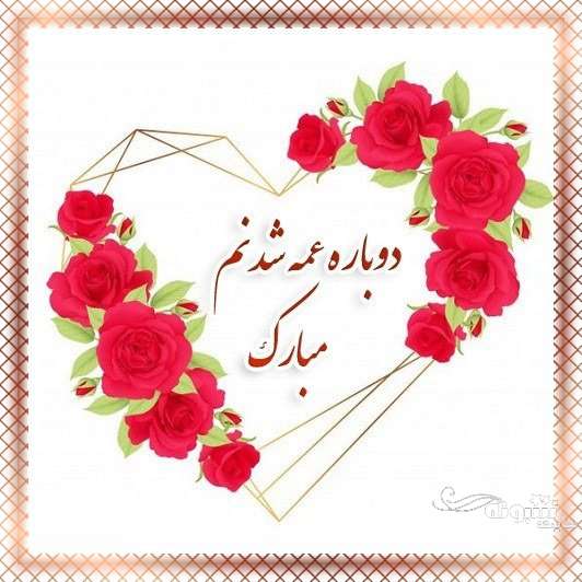 متن زیبا و عکس استوری عمه شدم و عمه شدنم مبارک برای پروفایل