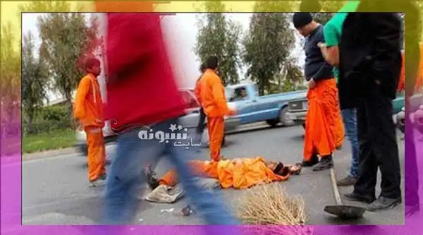 محسن بهامین پاکبان مشهدی کیست +عکس و ماجرای تصادف
