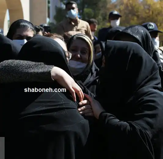 بیوگرافی خلبان شهید صادق فلاحی کیست +همسر و فرزندان