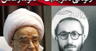 بیوگرافی آیت الله صافی گلپایگانی و همسر و فرزندان از قبل انقلاب تاکنون عکس