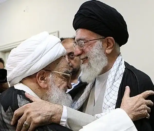 بیوگرافی آیت الله صافی گلپایگانی و همسر و فرزندان از قبل انقلاب تاکنون عکس