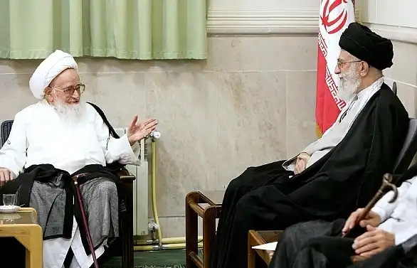 بیوگرافی آیت الله صافی گلپایگانی و همسر و فرزندان از قبل انقلاب تاکنون عکس