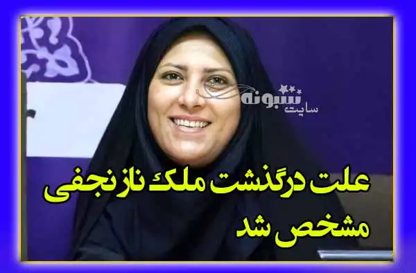 بیوگرافی ملکناز نجفی خبرنگار زنجانی و همسرش + عکس و اینستاگرام