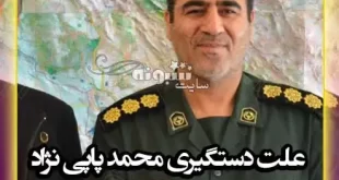 علت دستگیری محمد پاپی نژاد رئیس شورای شهر بروجرد مشخص شد