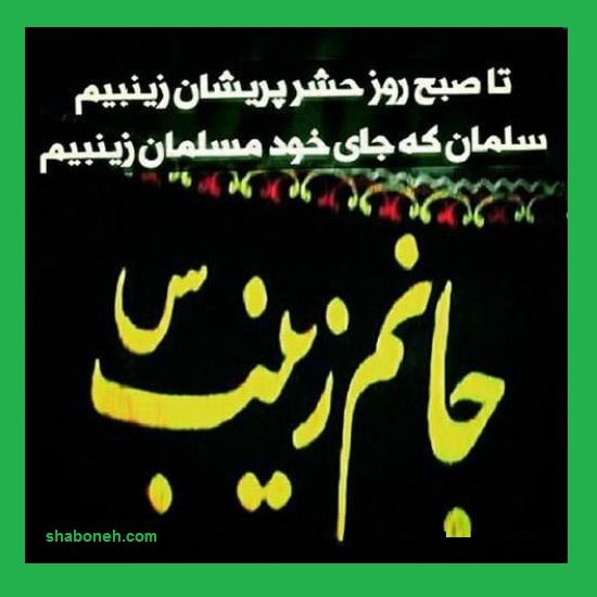 استوری تسلیت وفات حضرت زینب سلام الله علیها 1400 +کلیپ و عکس