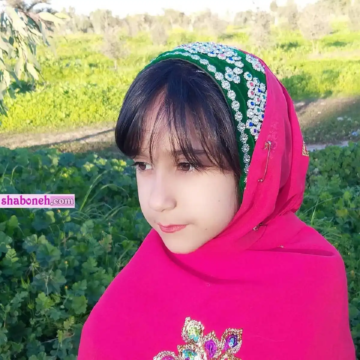 بیوگرافی ساینا شیخی دوبلور عصر جدید و فیلم اجرا ها +اینستاگرام و عکس