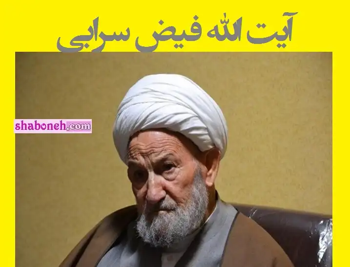 زندگینامه آیت الله فیض سرابی عضو مجلس خبرگان رهبری +درگذشت