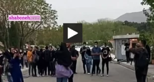 فیلم کامل خواستگاری وسط دانشگاه + بازداشت توسط هراست