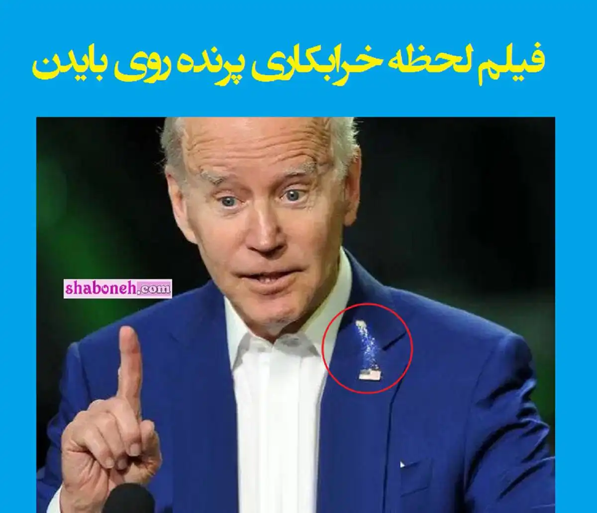 فیلم کامل لحظه خرابکاری پرنده روی بایدن حین سخنرانی + واکنش ها 