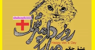 متن تبریک روز جهانی دامپزشک به عشقم و همسرم + عکس نوشته استوری