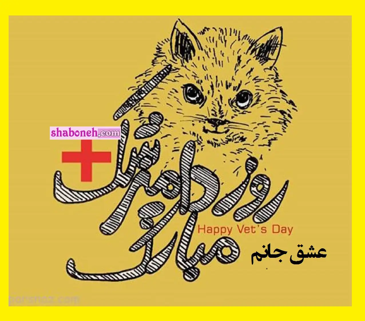 متن تبریک روز جهانی دامپزشک به عشقم و همسرم + عکس نوشته استوری