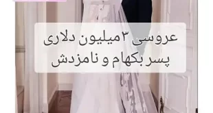فیلم و عکس کامل مراسم عروسی بروکلین بکهام و همسرش نیکولا پلتز +حواشی