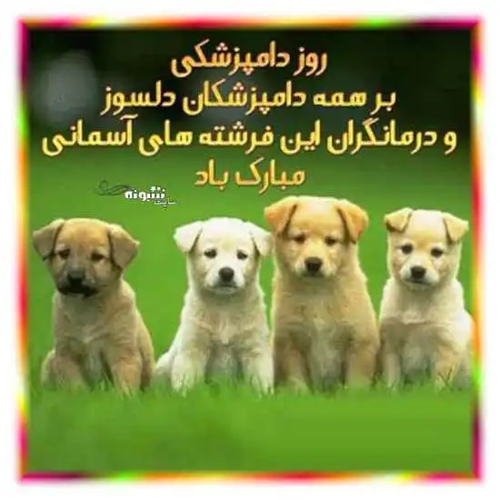 متن و پیام تبریک روز جهانی دامپزشک و دامپزشکی مبارک +عکس استوری و وضعیت واتساپ