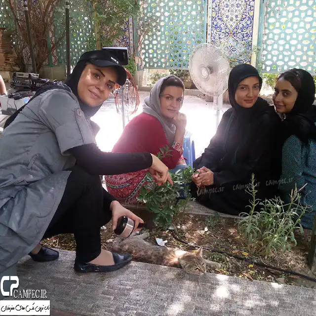 اسامی و بیوگرافی بازیگران سریال نیاز با نقش +عکس و داستان سریال نیاز