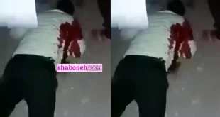 بیوگرافی شهید سرگرد عباس راه انجام و همسرش و فرزندان +عکس