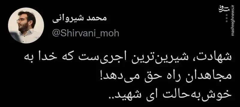 ترور شهید حسن صیاد خدایی (خدایاری)