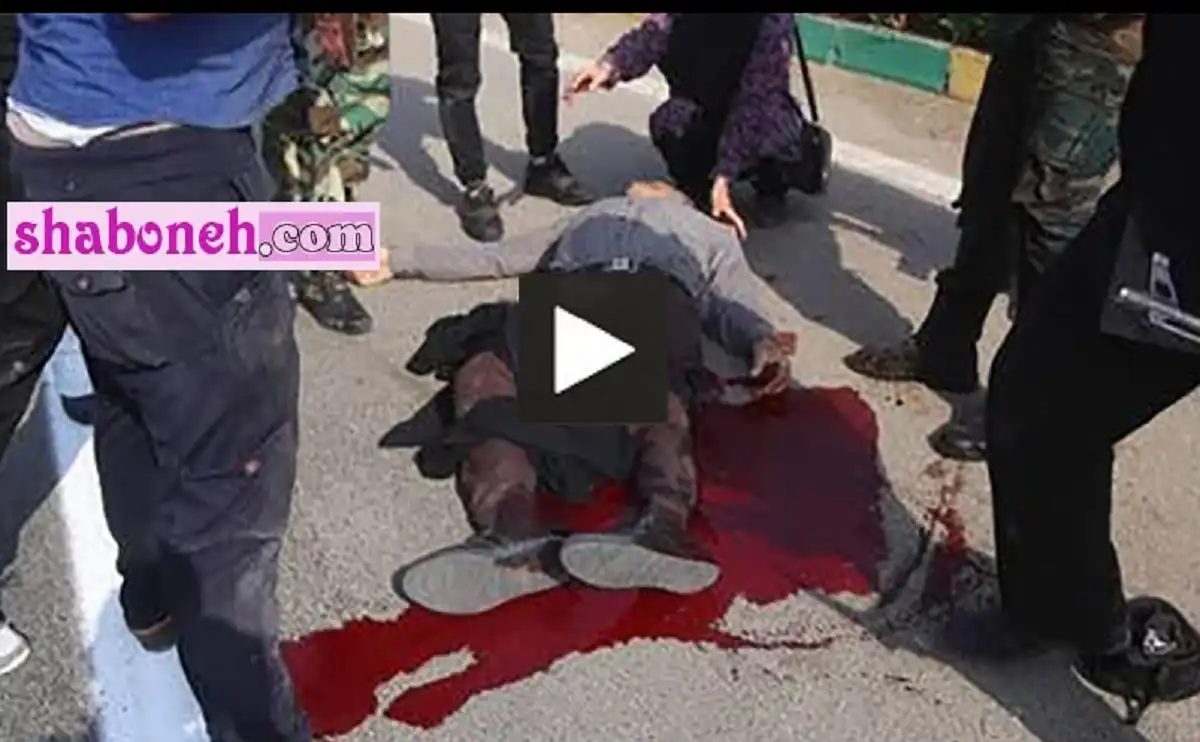 فیلم کامل گروگانگیری در ایلام در اداره بنیاد مستضعفان + جزئیات و تلفات