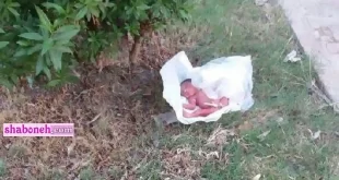 فیلم لحظه کشف نوزاد رها شده مقابل شیرخوارگاه آمنه ونک