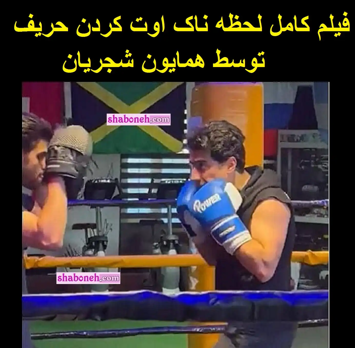 فیلم کامل ناک اوت کردن حریف توسط همایون شجریان در رینگ بوکس