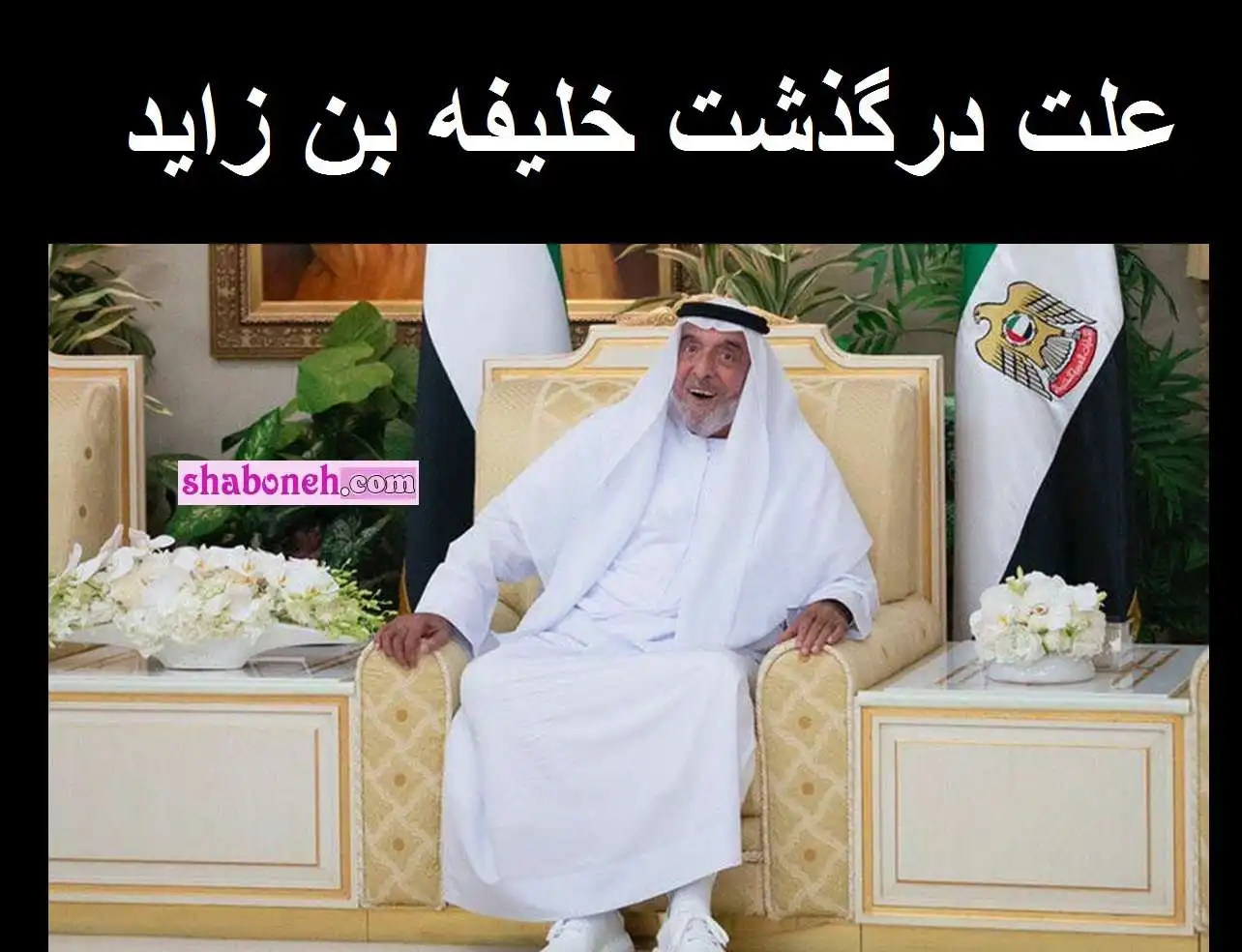 علت درگذشت و فوت خلیفه بن زاید رئیس امارات +عکس