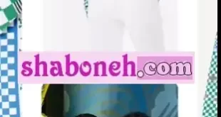 ماجرای پیراهن ۳۵ میلیونی رامین رضاییان برند مارک لویی ویتون لاکچری فرانسه
