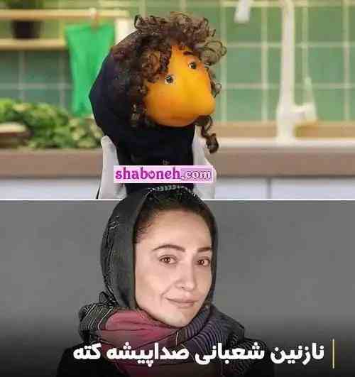 بیوگرافی صداپیشگان برنامه مهمونی ایرج طهماسب +عکس و اسامی
