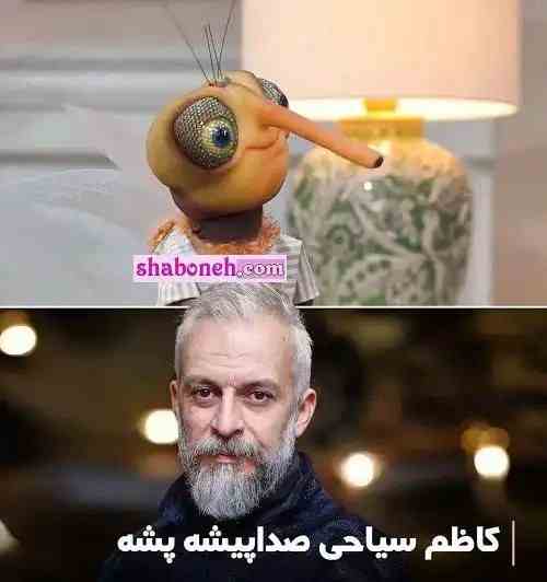 بیوگرافی صداپیشگان برنامه مهمونی ایرج طهماسب +عکس و اسامی