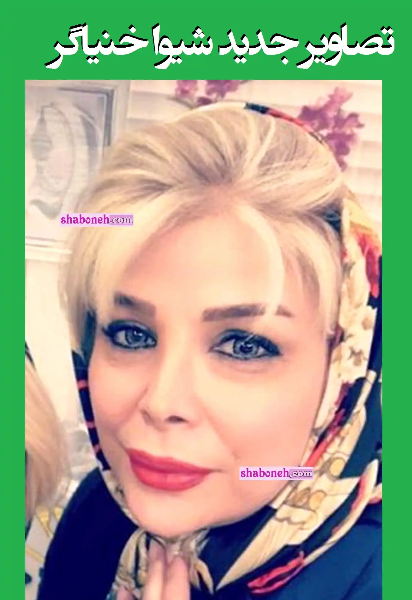 بیوگرافی شیوا خنیاگر بازیگر اهل کجاست + عکس جدید
