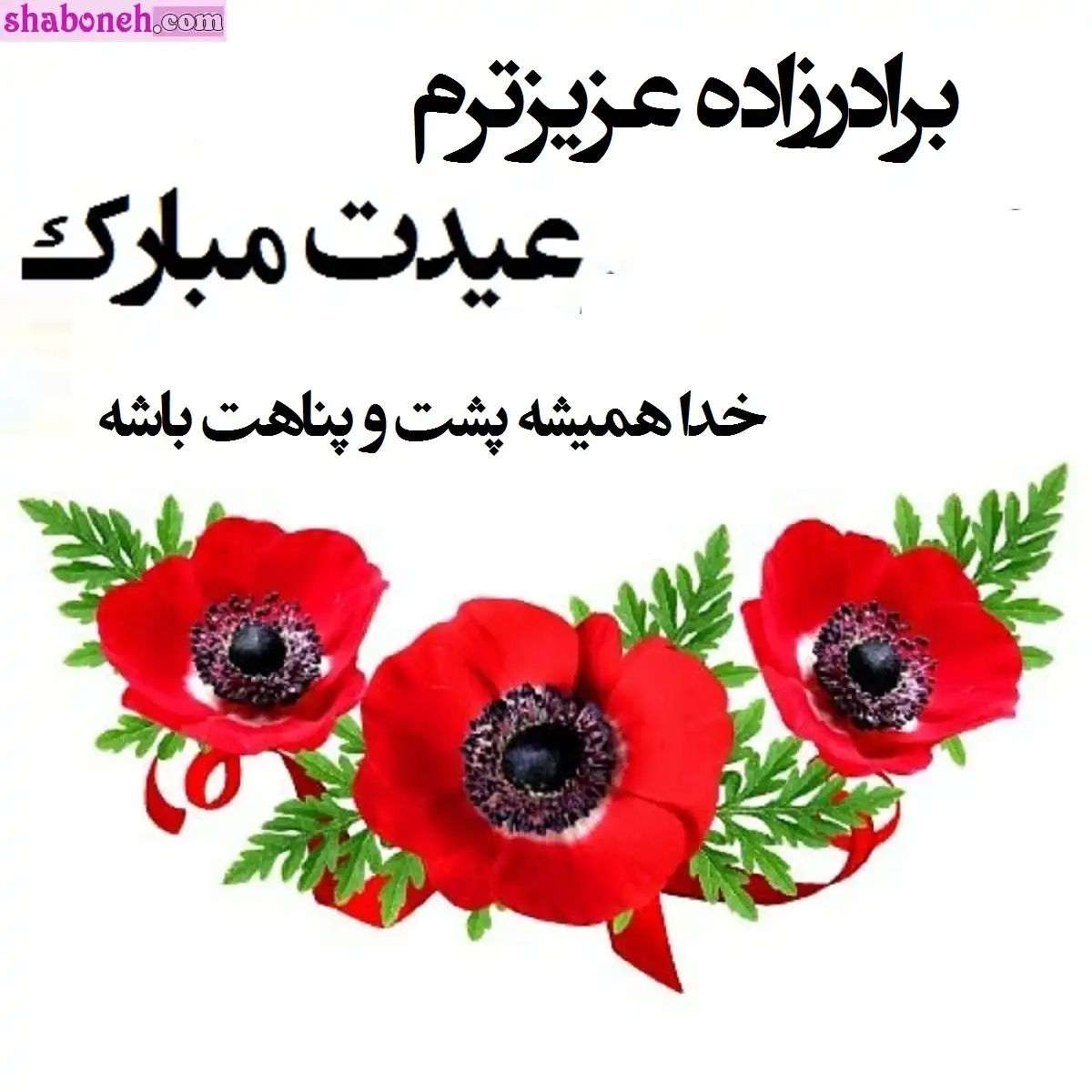 پیام و متن تبریک عید فطر 1404 به برادرزاده (برادرزاده عزیزم) +کلیپ و عکس