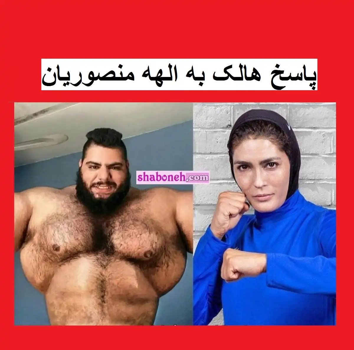 فیلم واکنش و پاسخ هالک ایرانی (سجاد غریبی) به صحبت الهه منصوریان