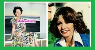 بیوگرافی نلی (شمسی اشتری) خواننده و همسرش +عکس پیری جدید
