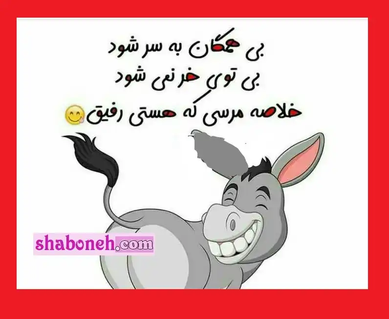 استوری پیام و متن طنز روز جهانی خر و الاغ به دوستان (برای شوخی) عکس نوشته