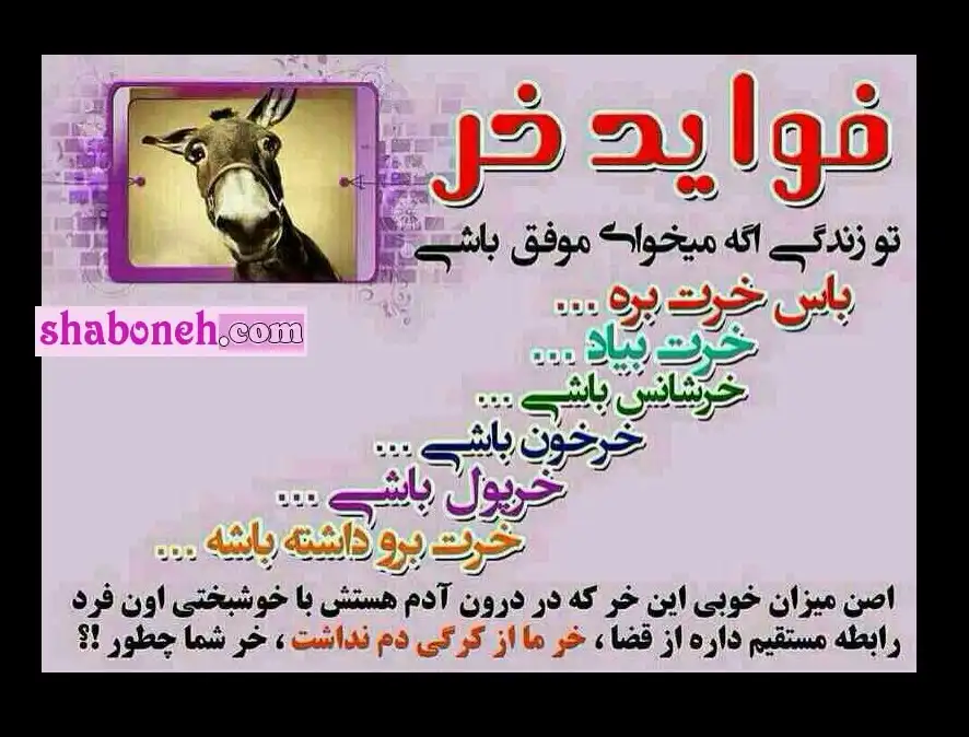 استوری پیام و متن طنز روز جهانی خر و الاغ به دوستان (برای شوخی) عکس نوشته