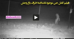 فیلم کامل جن موجود ناشناخته اطراف باغ وحش شهر آماریلو تگزاس آمریکا