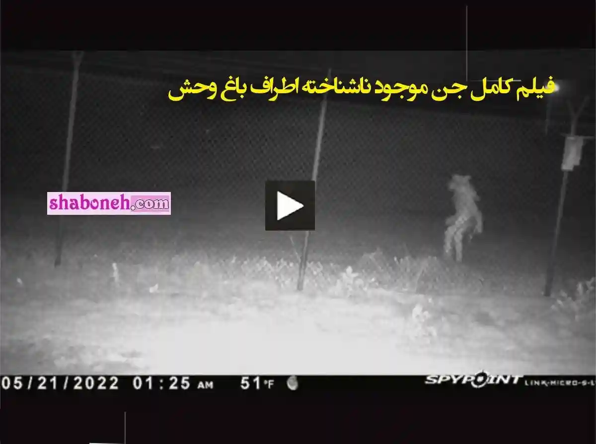 فیلم کامل جن موجود ناشناخته اطراف باغ وحش شهر آماریلو تگزاس آمریکا
