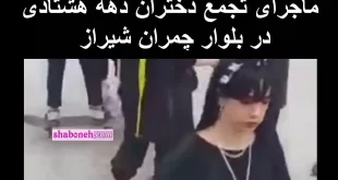ماجرای روز جهانی اسکیت برد شیراز و تجمع اسکیت سواران در بلوار چمران شیراز