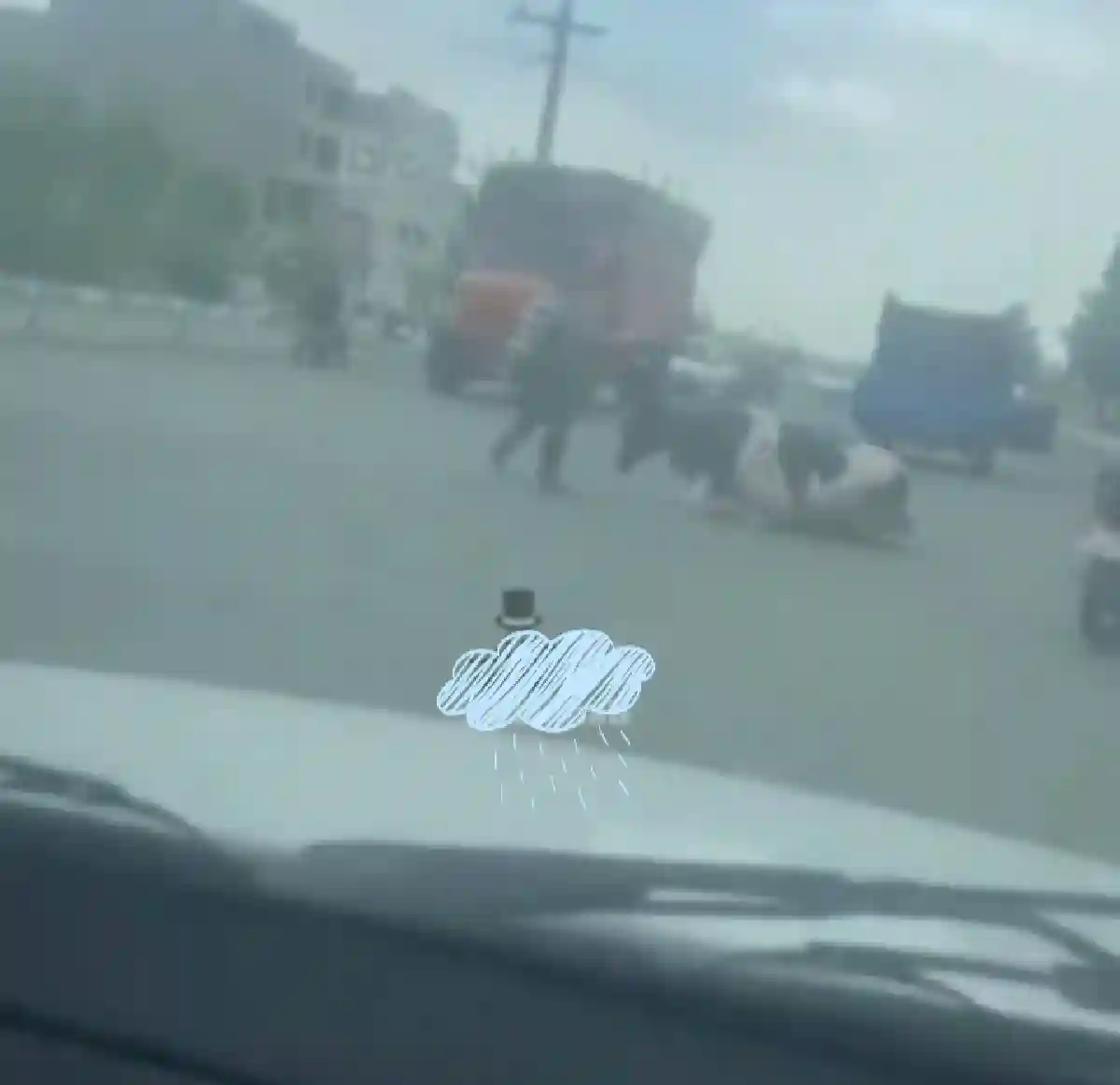 ماجرای فیلم ذبح و سر بریدن گاو وسط خیابان در سلماس و ضرب و شتم با چوب و چماق