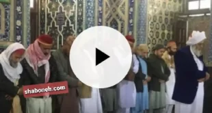 صوفیان اهل سنت در حرم امام رضا چه کار کردند با واکنش ها به حضور فرق صوفیان اهل سنت در حرم امام رضا را در این صفحه ببینید