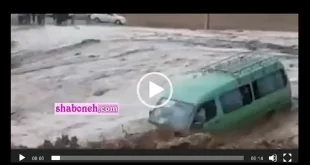 فیلم کامل / سیل ون و هفت سرنشین عراقی ون در مشهد را غرق کرد