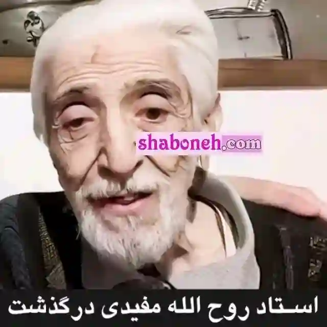 بیوگرافی روح الله مفیدی بازیگر پیشکسوت سینما +عکس جدید