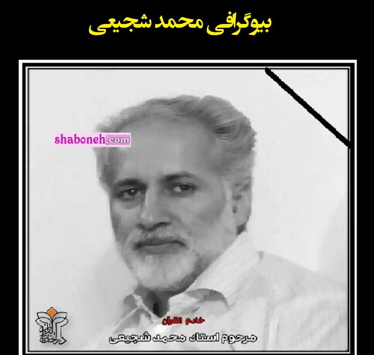محمد شجیعی درگذشت بیوگرافی و علت فوت در جلسه قرآن 