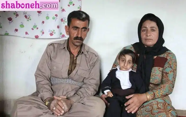 بیوگرافی محمد قادرزاده قد کوتاه ترین مرد دنیا و همسرش +اینستاگرام و عکس