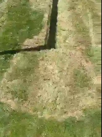 فیلم / کندن چمن جلوی دروازه پرسپولیس در بازی آلومینیوم اراک