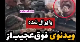 فیلم کامل مردی که خار میخورد آیا واقعی است یا کلک میزند؟