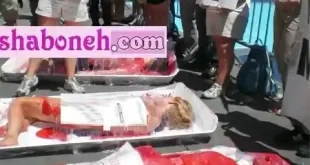فیلم بسته بندی گوشت انسانی و انسان توسط گیاه خواران +تصاویر