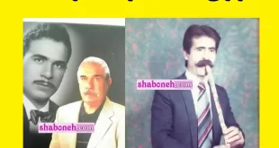 بیوگرافی نعمت‌ الله ستوده نوازنده و پیشکسوت موسیقی + علت درگذشت و فوت
