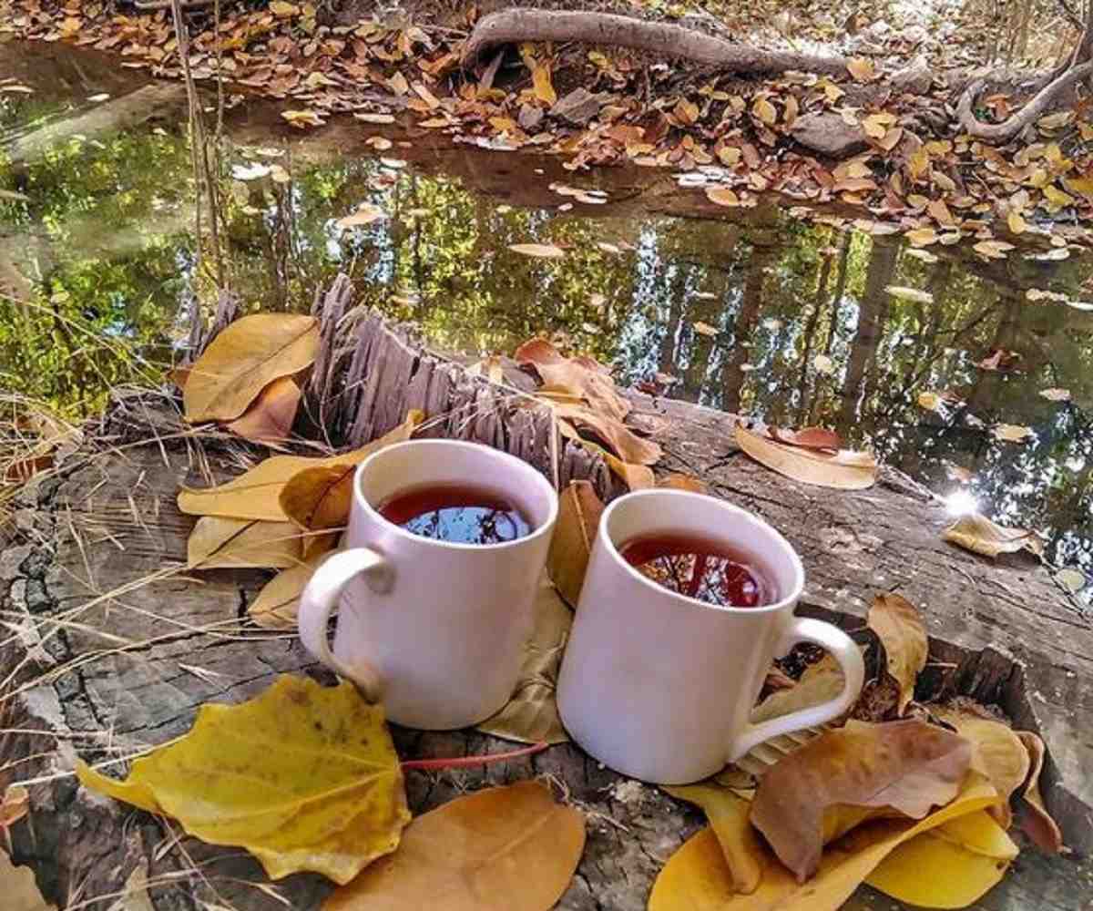 5 انشاء در مورد پاییز و باران برای مدرسه همه مقاطع تحصیلی