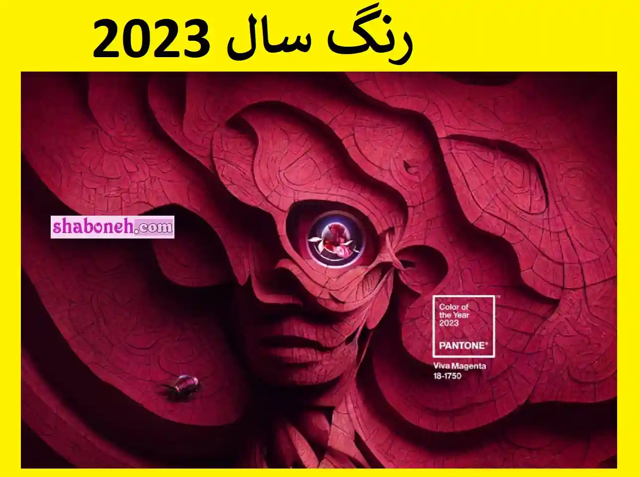 رنگ سال ۲۰۲۳ رسما مشخص شد این رنگ سال 2023 است